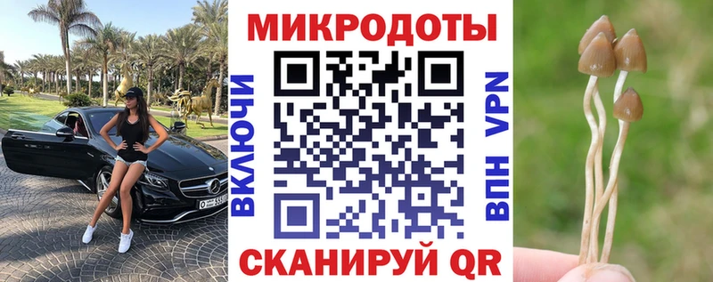Псилоцибиновые грибы Magic Shrooms  продажа наркотиков  Любим 